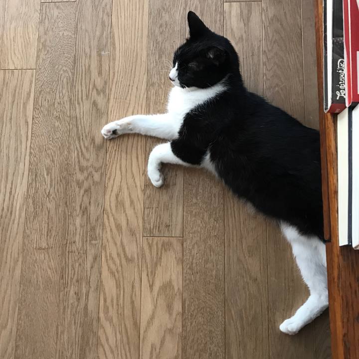 2e5c5a8c df9b 4702 8208 a94f20c9197f