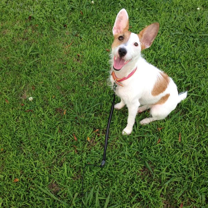 2e5cc5f4 c15b 4588 bb4e a3e8087a79b9