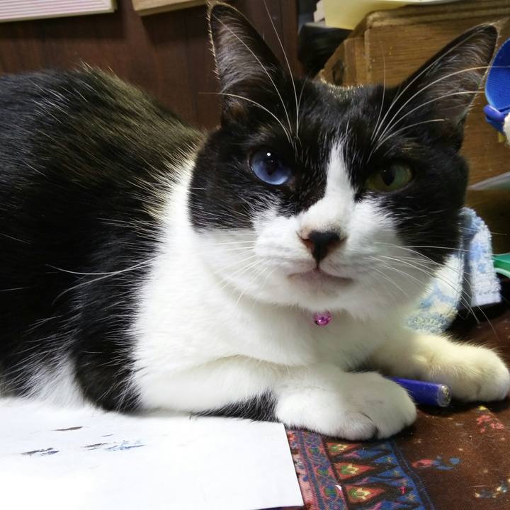 2e5daabf f02e 40c7 8e83 3e08c70146a7