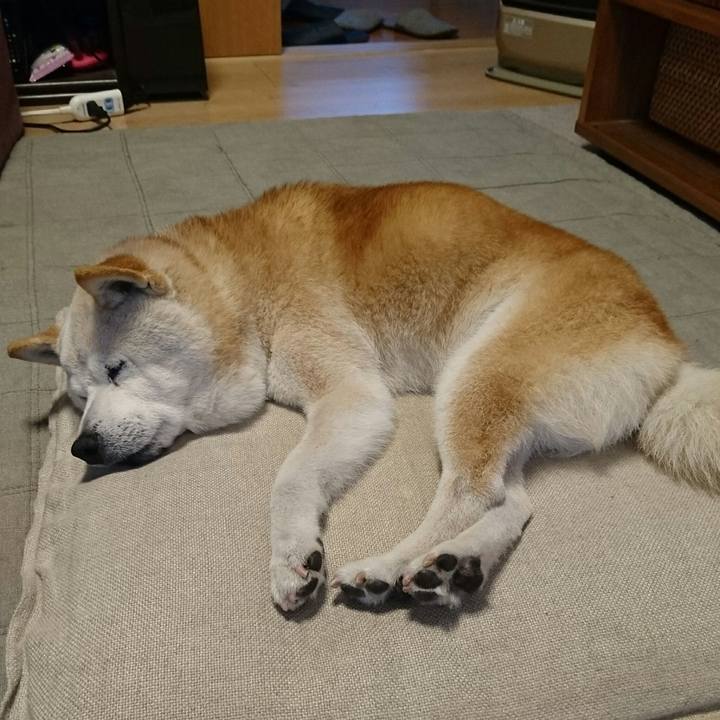 2e5e040f 682f 4023 9a2f 78c5b5c04be6