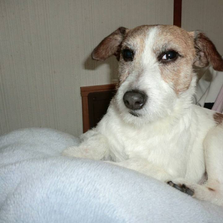 2e5ec581 99bd 47b6 80d8 37f65aeb45da