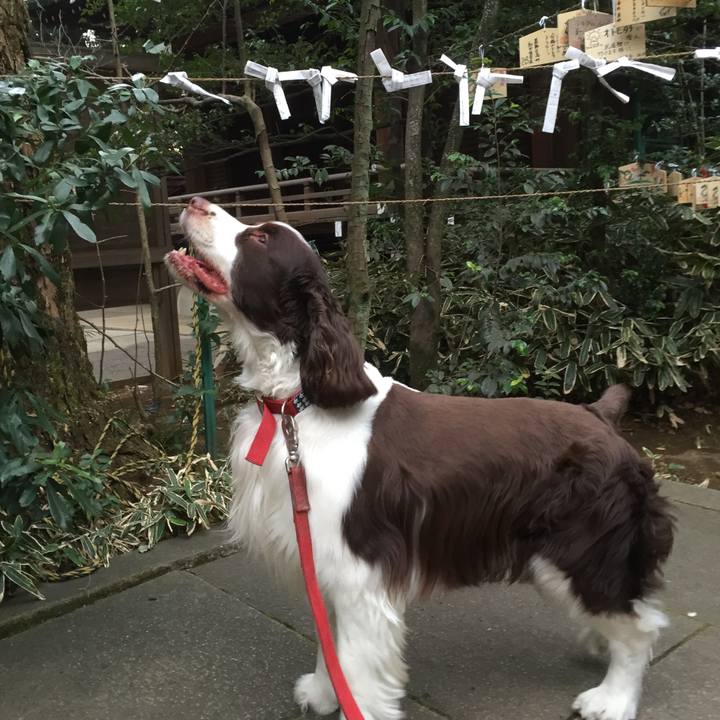 2e5fbd63 1f4a 4895 a8ae 07c732a95ced