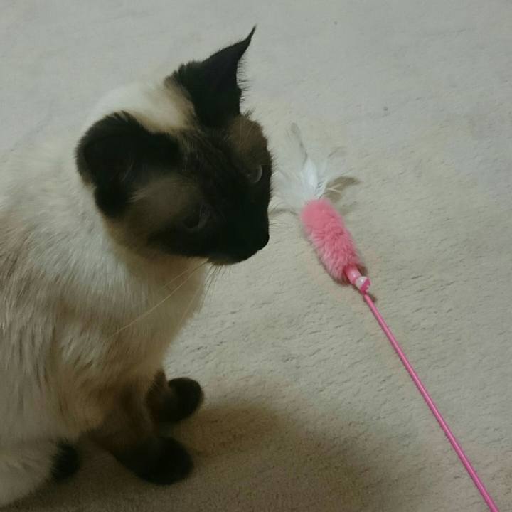 2e5fc3c8 7c7d 49f1 87a6 0724401f2f33