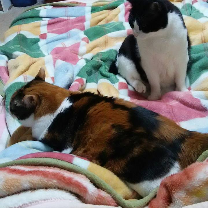 2e60833c 55dc 4628 9bbd ae9e58bdde56