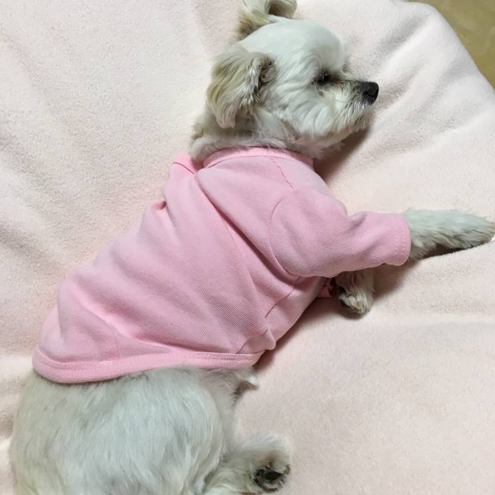 2e60c0aa b7ad 4a3d b7c1 91e9d819689a