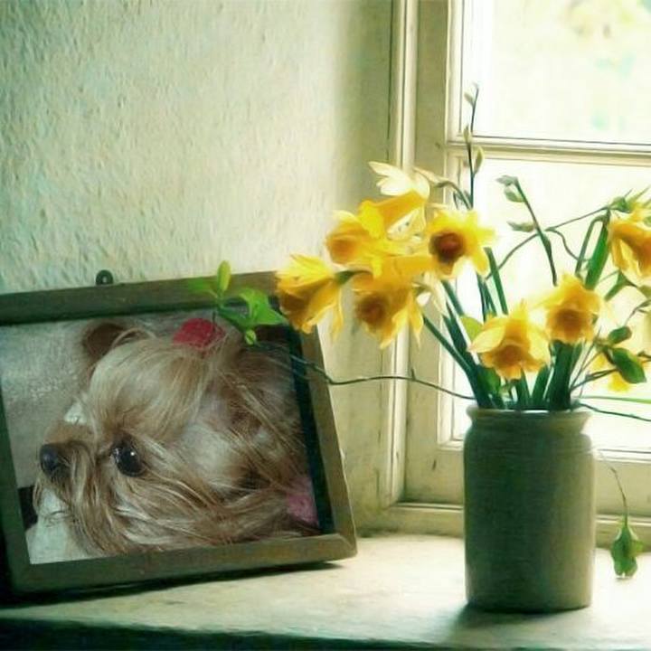 2e60c16b 1448 40ee a032 9b1da09eba8a