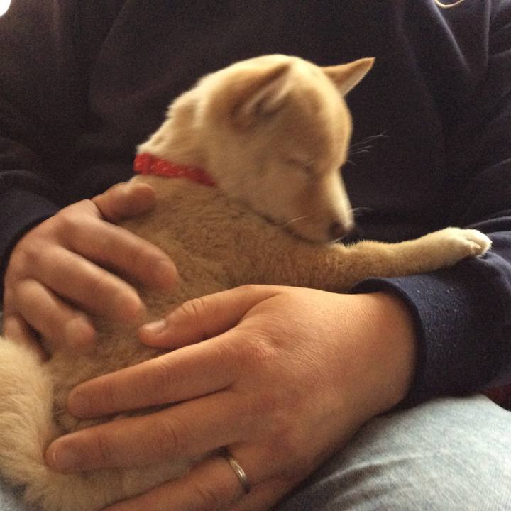 2e60dffd 6469 40e6 8e8c b2d88c7ea6a2