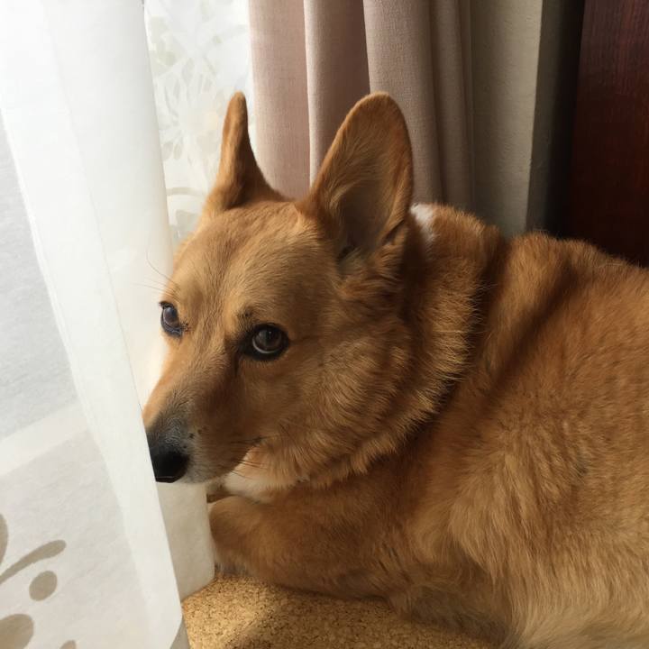 2e611023 5fca 4c7e 8af7 e2d30f6e51db