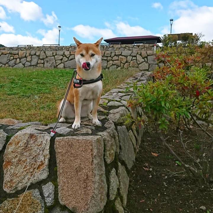 2e618e22 6922 4959 9417 3b7d1019239b