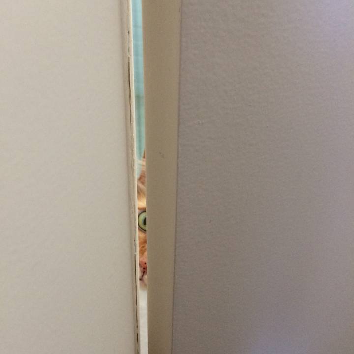 2e627646 5e7e 465e afe7 27a1354b052b