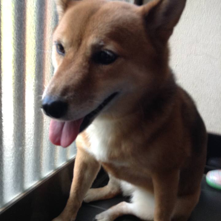 2e6294e6 4e88 466a 9a6e 0441c6b2e712