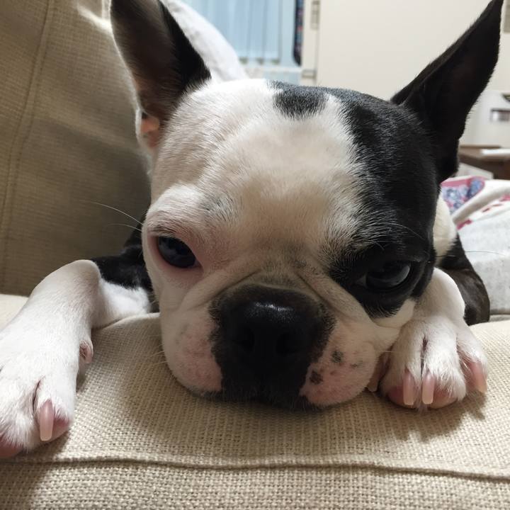 2e632bff 2d37 4300 8e3c 607b63bb9458