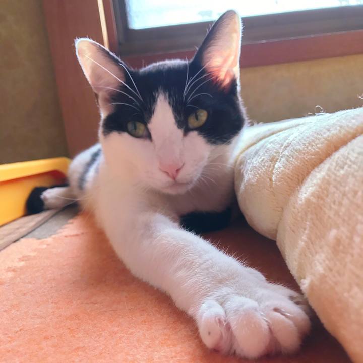 2e63e1bc ec03 4dd0 94d4 10fd0666ea77