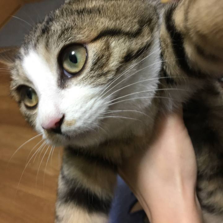 2e640980 2b54 49f8 8edf 33a2c3842140