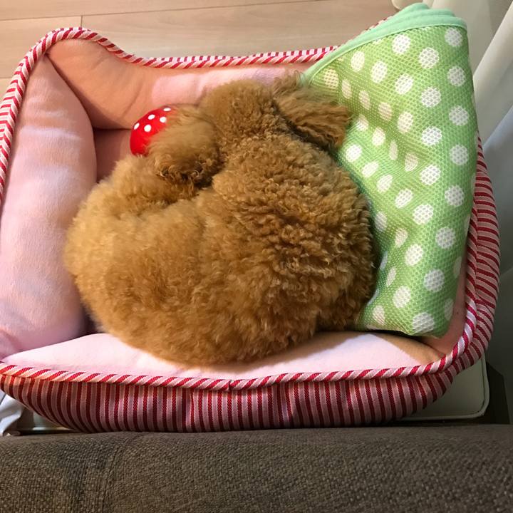 2e64a5da 2553 4d3c 9a70 00f29c312b67