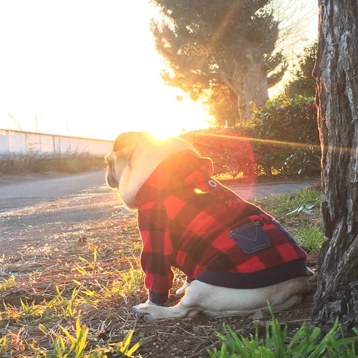 2e65773f 395e 4d93 bf11 76147a0a51d2