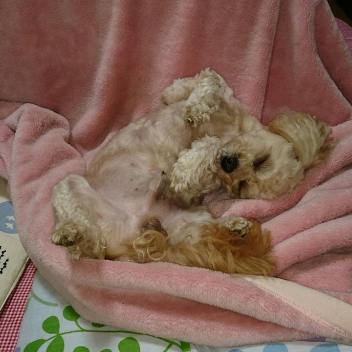 2e659acb 509f 439a 8931 42c5e77b3a9a