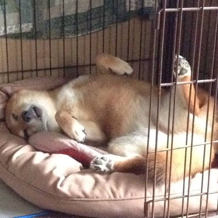 2e660142 c326 4293 998c 69a3c60ac890