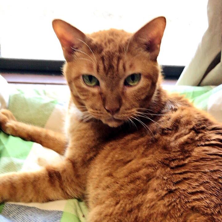 2e66590e 8959 4d56 8fc4 54ecb6981290