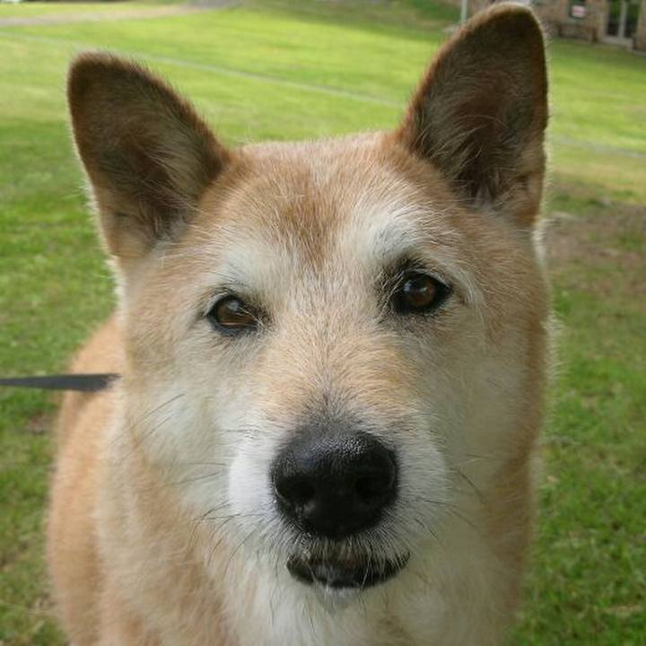 2e66d0f9 fe7b 4471 8c0b ff2ea0b724f7