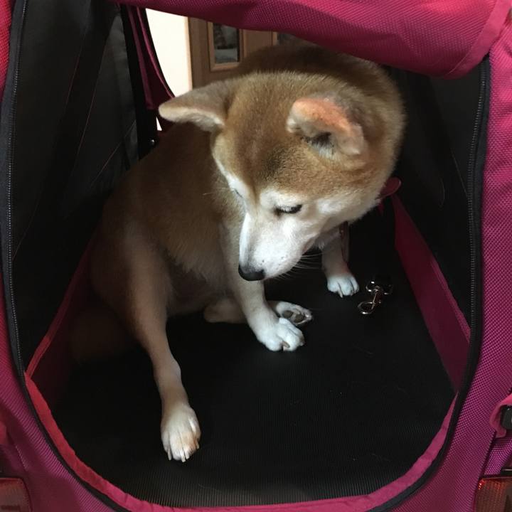 2e67764c 500d 4970 abae 4c84559ae0e0