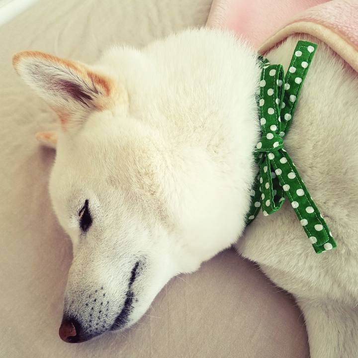 2e67c0a0 cd77 49cb b298 0bda937a742b