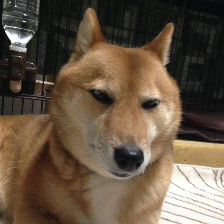 2e67d228 d145 47e6 89bc 637beb398a58