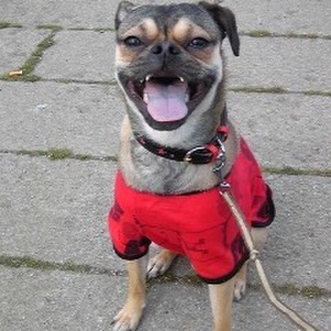 2e67e3f0 63fa 487b bc4e aa0497d1d774