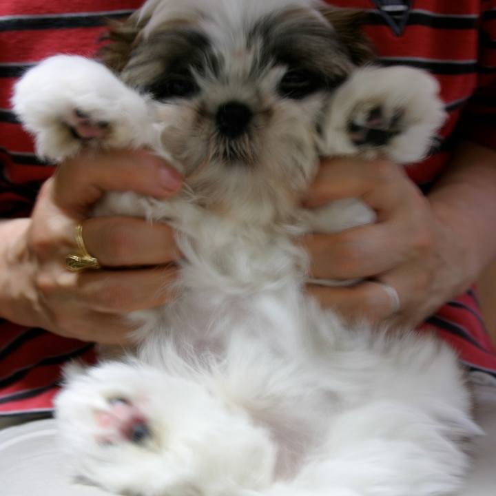 2e681a08 1eb7 42ce 972e 14c2f17d0c63