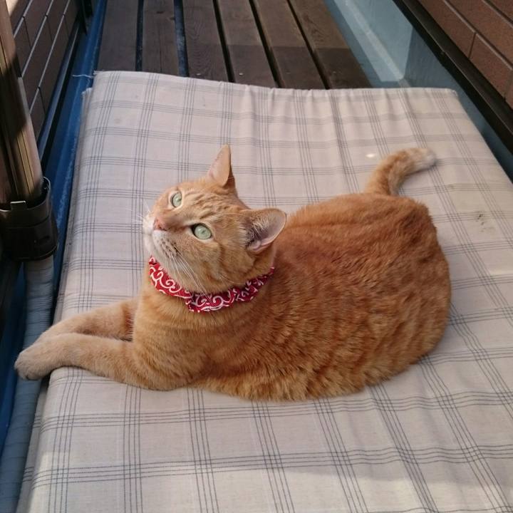 2e686669 f3fb 47ce 9f2d 25fd3db354df