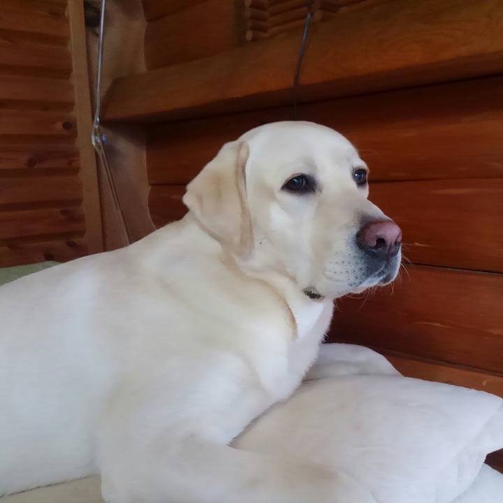 2e690244 da6b 41cc b4a6 49ee857447c3