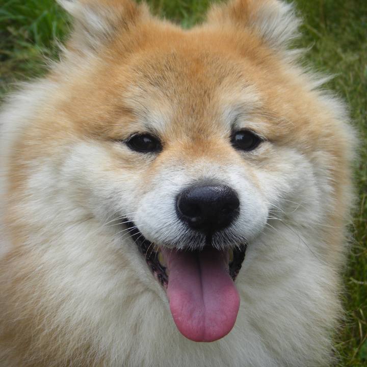 2e691044 3f56 4fb8 9d79 e51dc9c3af84