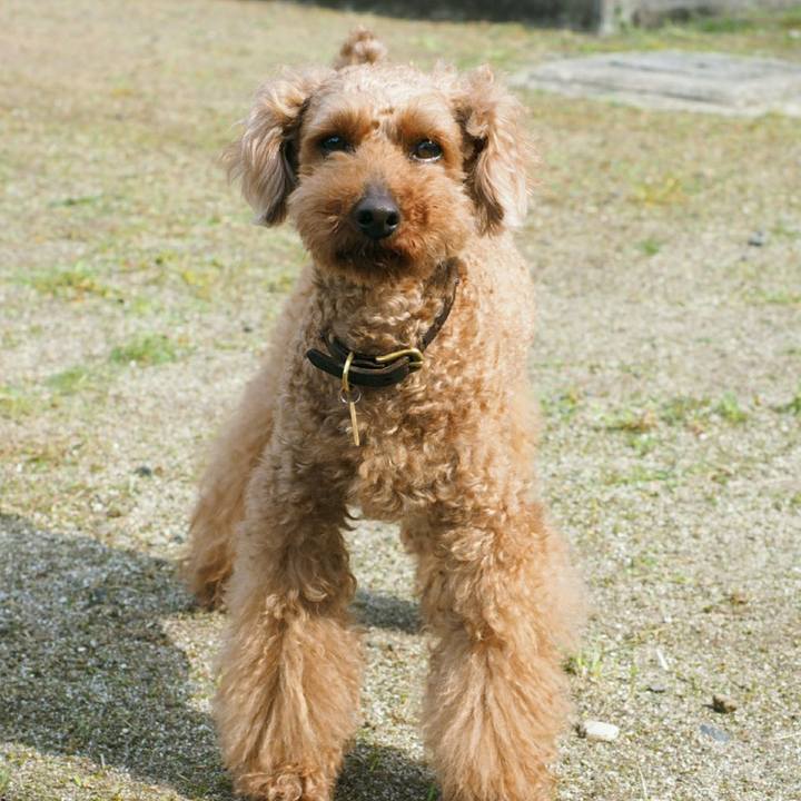 2e695925 0253 4627 a01b 13ddb12206b9