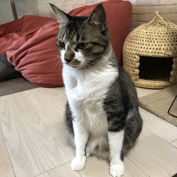 2e696a82 1c95 44fc 9f7b f05c8fca0011