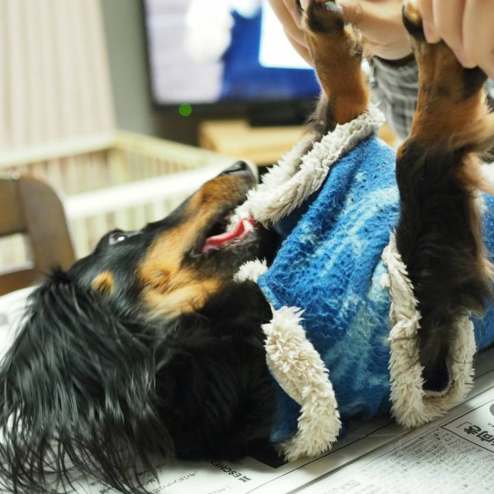 2e696adf 8eeb 4782 8be3 7c2753cee1db