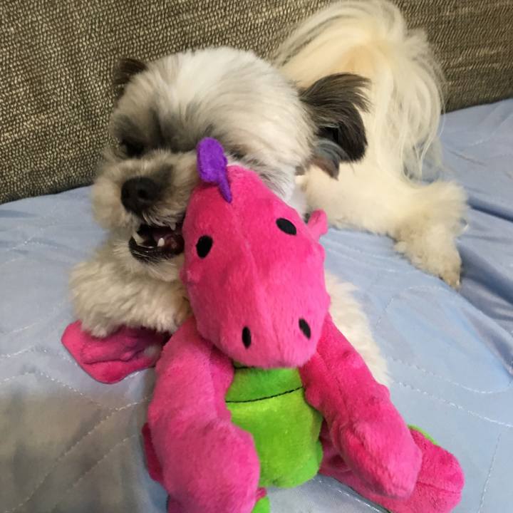 2e6aa3e5 2fbd 479c b781 0aa28bb4ac14