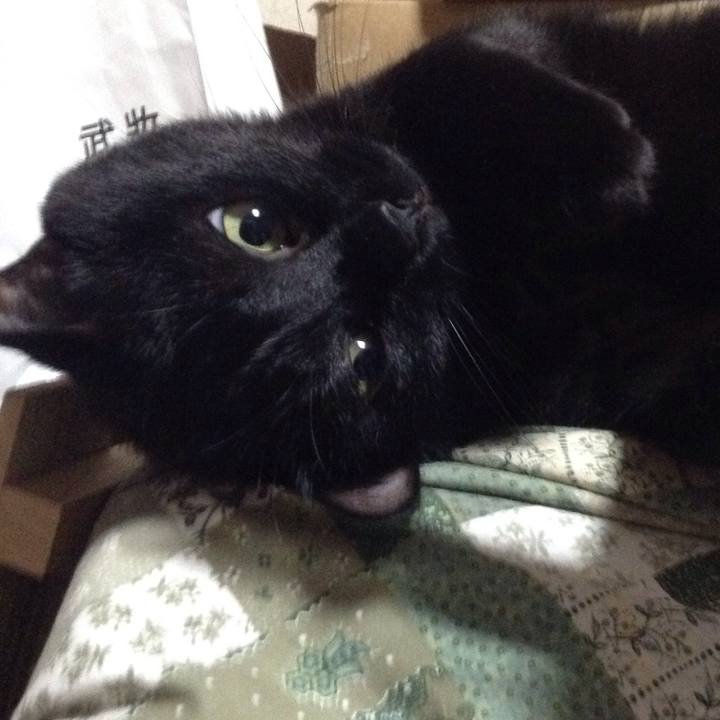 2e6acb8d 8af7 4910 8862 f2c10be98ba3