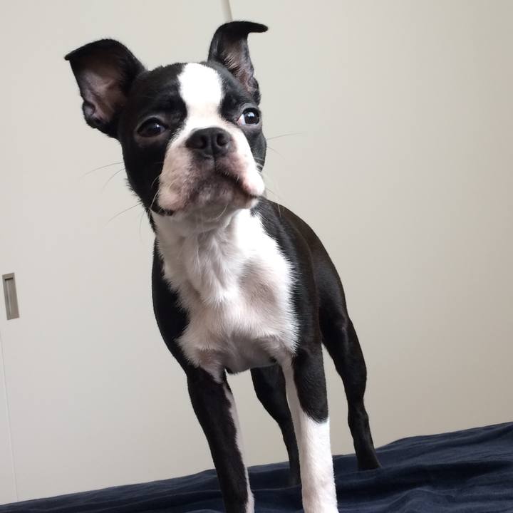 2e6afbc6 3dff 4ea8 b4a8 b077cfe5fa57