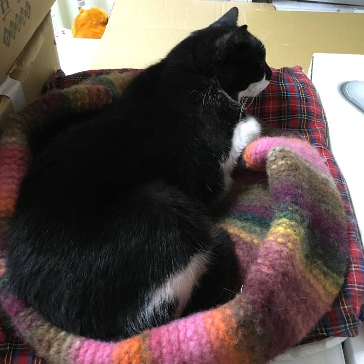 2e6b0369 60e3 4d48 ab5a dd70db7e3ffd