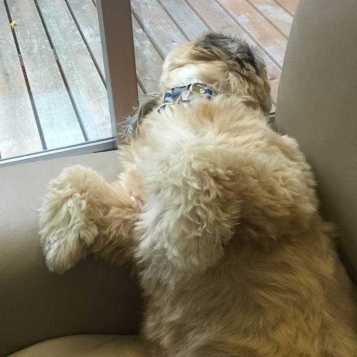 2e6b0d93 72dd 45a6 8a9e 599e790c6dd6