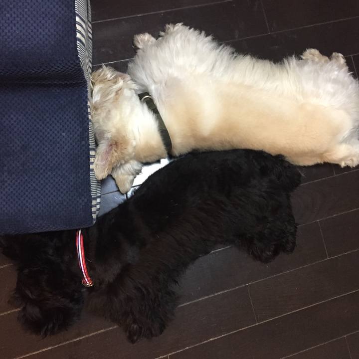 2e6b76f1 ef27 4a26 9339 cc570c701795