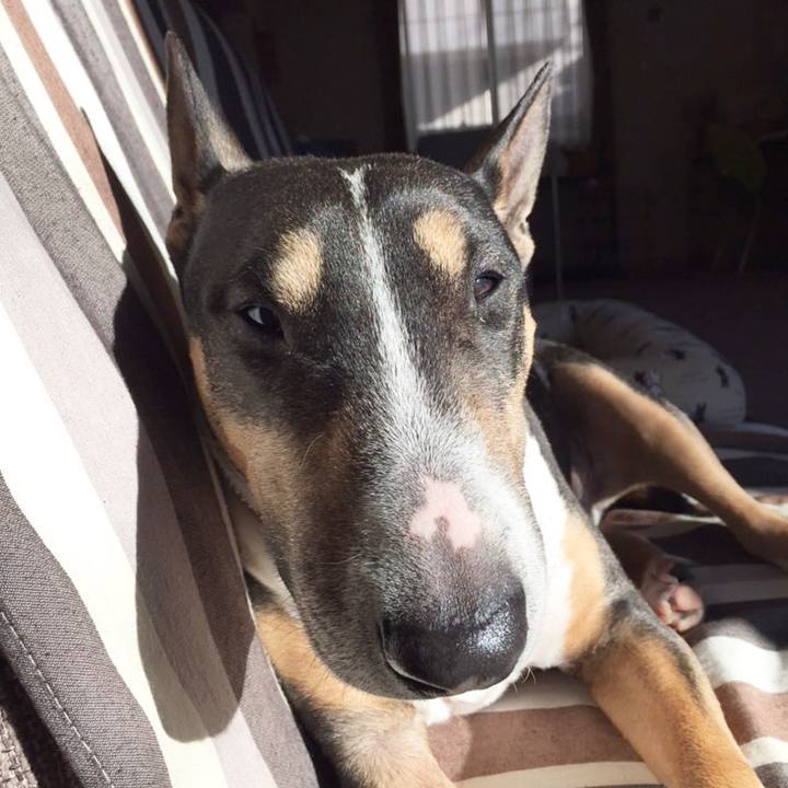 2e6bac72 5b59 4f9c abfb fc13cfeef8a6