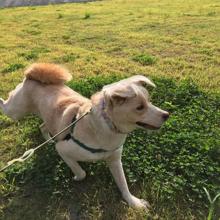 2e6bb624 5a94 4788 8c39 1d8556552de5