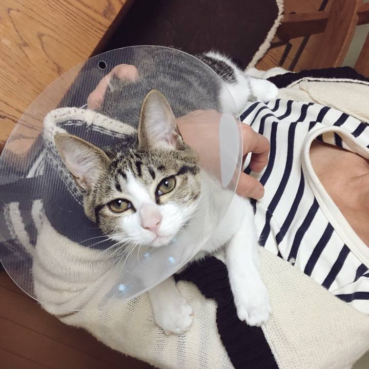 2e6c36f2 ed6f 4b6f 8627 93381d2687d4