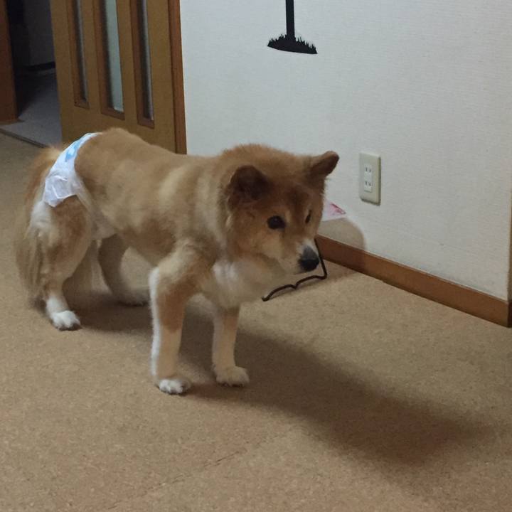 2e6c5a79 2d85 478a 88de e417906a18e3