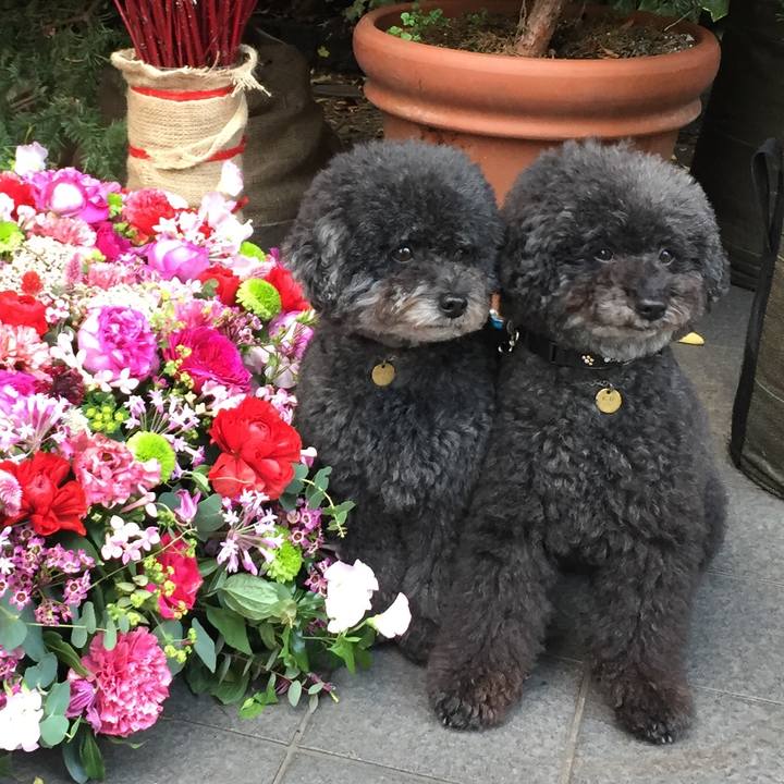 2e6c7488 e846 4155 9212 f1186c1177da