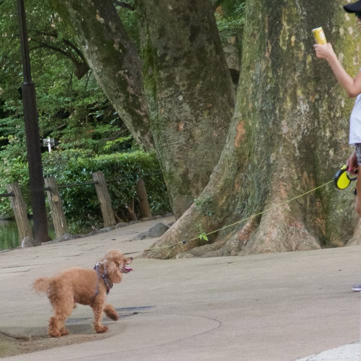 2e6c8737 c53e 496a aa97 23725b28cfaf