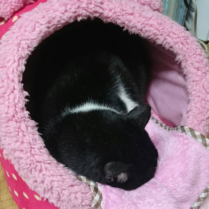 2e6cc00d 7f8d 496a 95a2 5f490ef33868