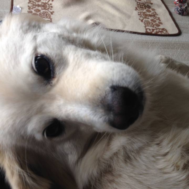 2e6d7b1b eed7 418c 9456 d5882bbc4fdd