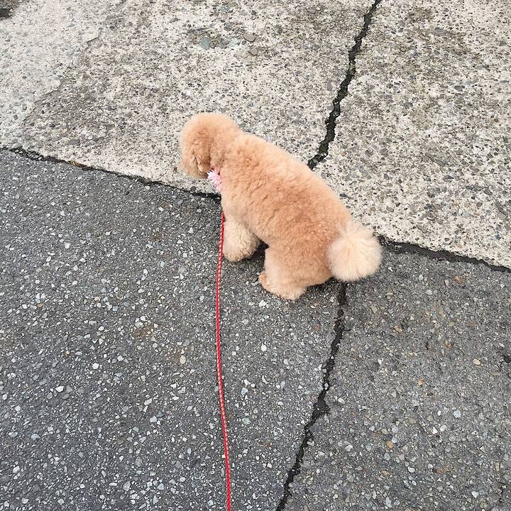 2e6d846b fc62 4bc2 9e95 32c38ddbb65f